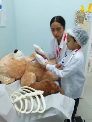 hospital do ursinho
