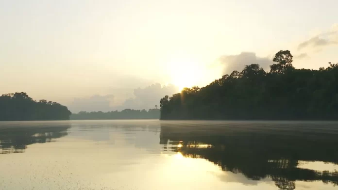 margem-equatorial-petroleo-amazonas-amapa