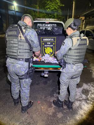 GCM de Guarulhos combate o tráfico e prende criminoso com 2,2 kg de drogas (2)