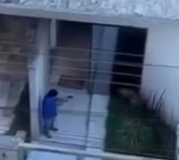 homem-matou-cachorro