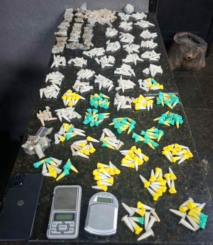 GCM_Divulgação (2)