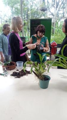 Agenda ambiental_DivulgaçãoPMG (2)