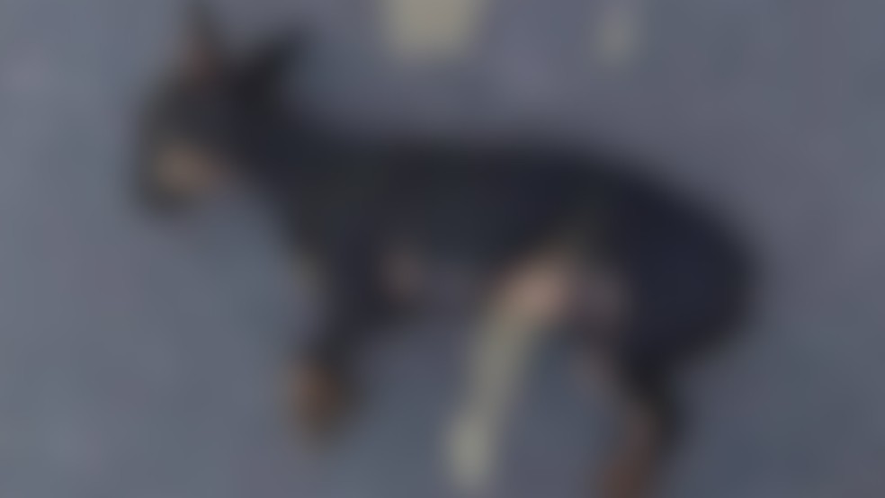 design-sem-nome-1-